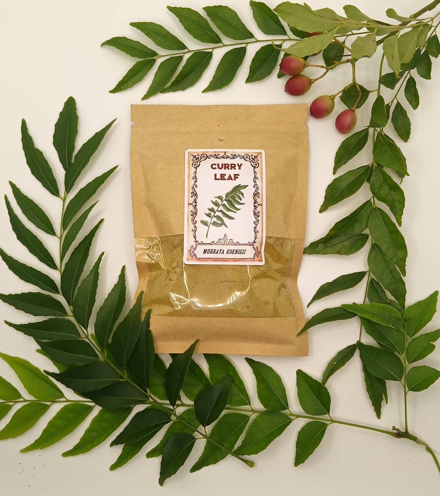 Curry Leaf Powder