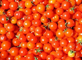 Cherry Tomato Powder