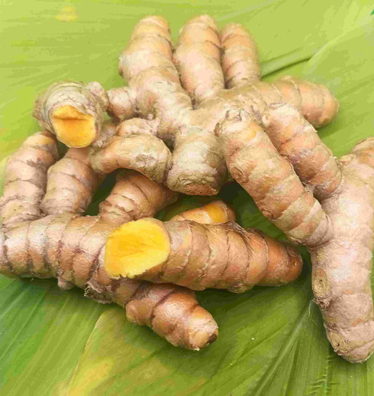 Turmeric Fresh (Haldi)