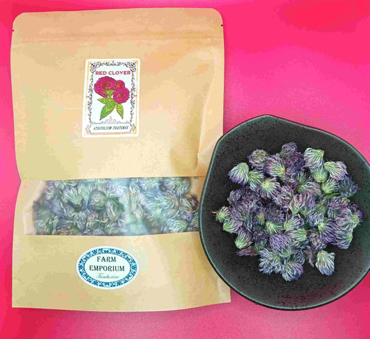 Red Clover Flower Tea