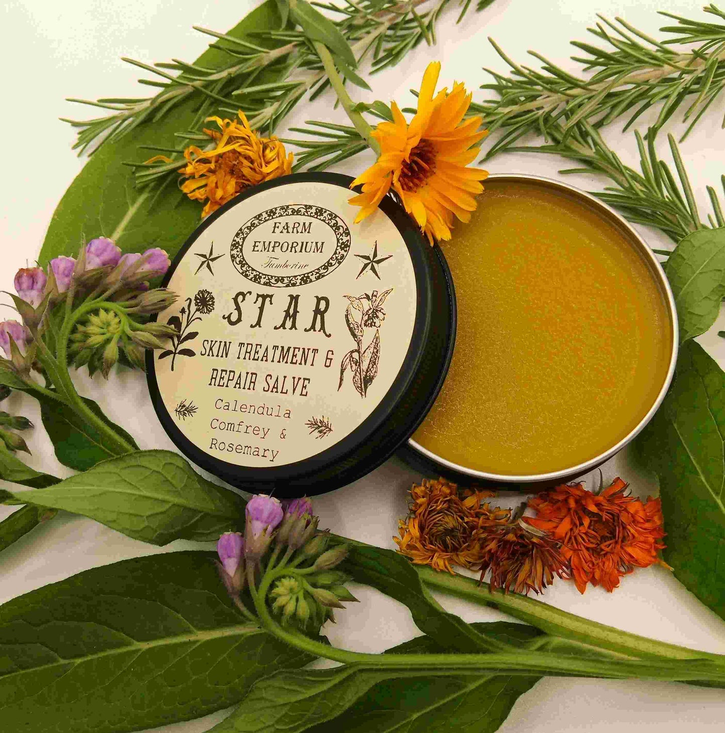 Skin treatment and repair salve with botanicals